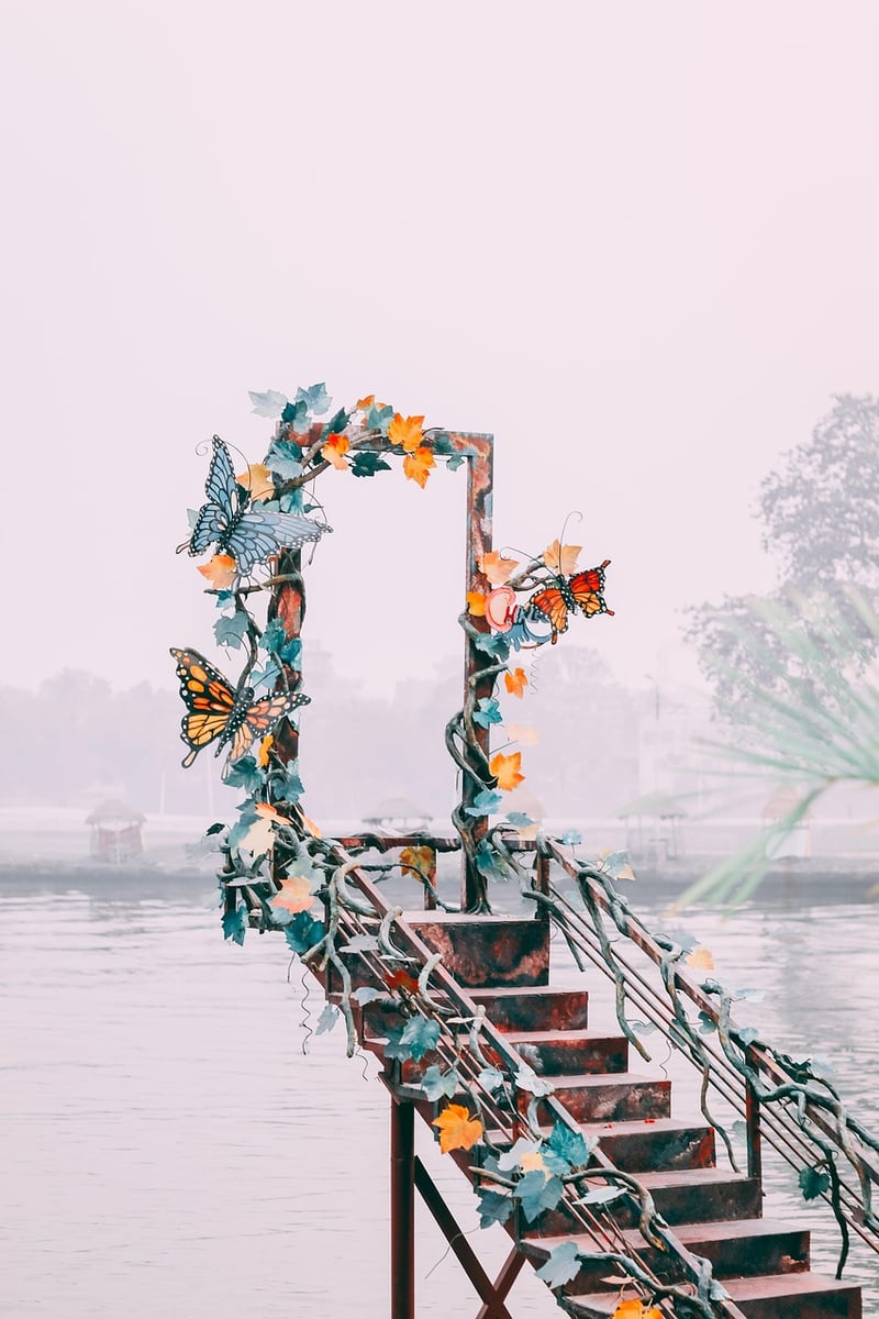 Imaginative Designs